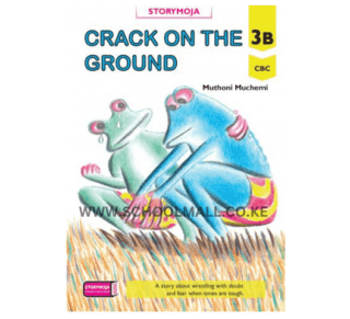 Crack on the Ground