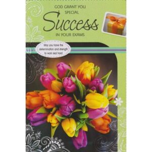 Exams Success Card B5