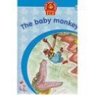 Baby-Monkey-3.jpg