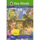 Ladybird-11C.jpg