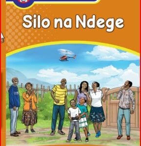 Silo Na Ndege