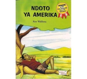 Ndoto ya Amerika by Walibora