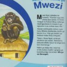 Sokwe_wa_Milima_ya_Mwezi_0.1_Moran_9789966630025_2.jpg