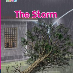 The Storm