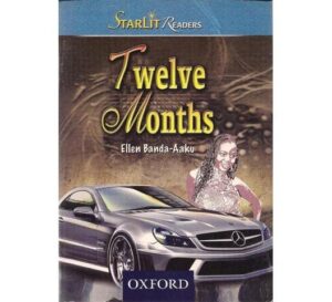 Twelve Months by Ellen Banda-Aaku